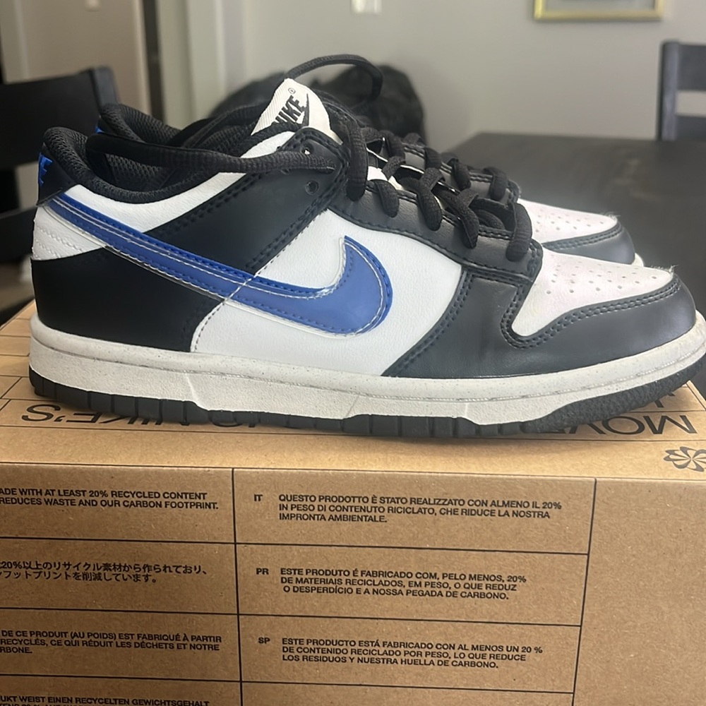 Grade school size 3.5 Nike Dunk Low
